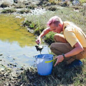a graduate student scoops mud into a bucket from a tidal pond
